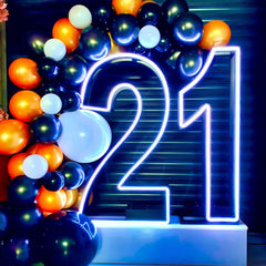 21 with RGB neon sign metal light up numbers